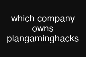 which company owns plangaminghacks